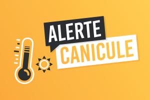 canicule